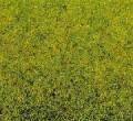 Streumaterial Frhlingswiesen-Gras 100 g, Beutel verschliessbar